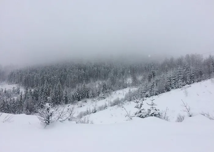 у михайла *