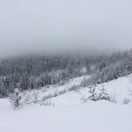 у михайла *